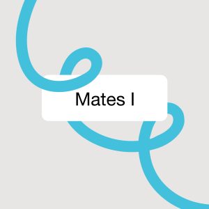 Asignatura Completa- Mates I