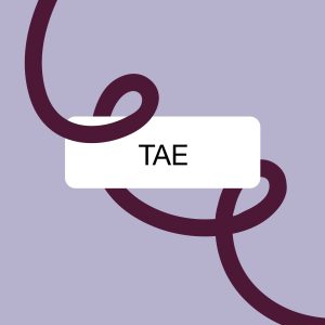 Asignatura Completa- TAE