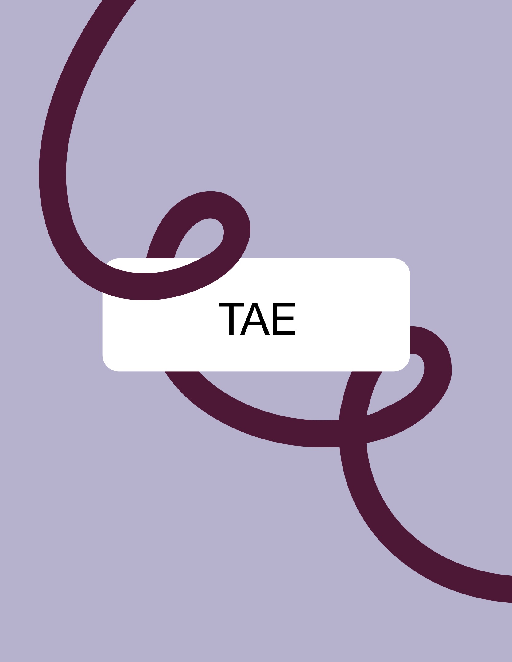 Asignatura Completa- TAE