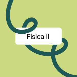 Asignatura Completa- Física II
