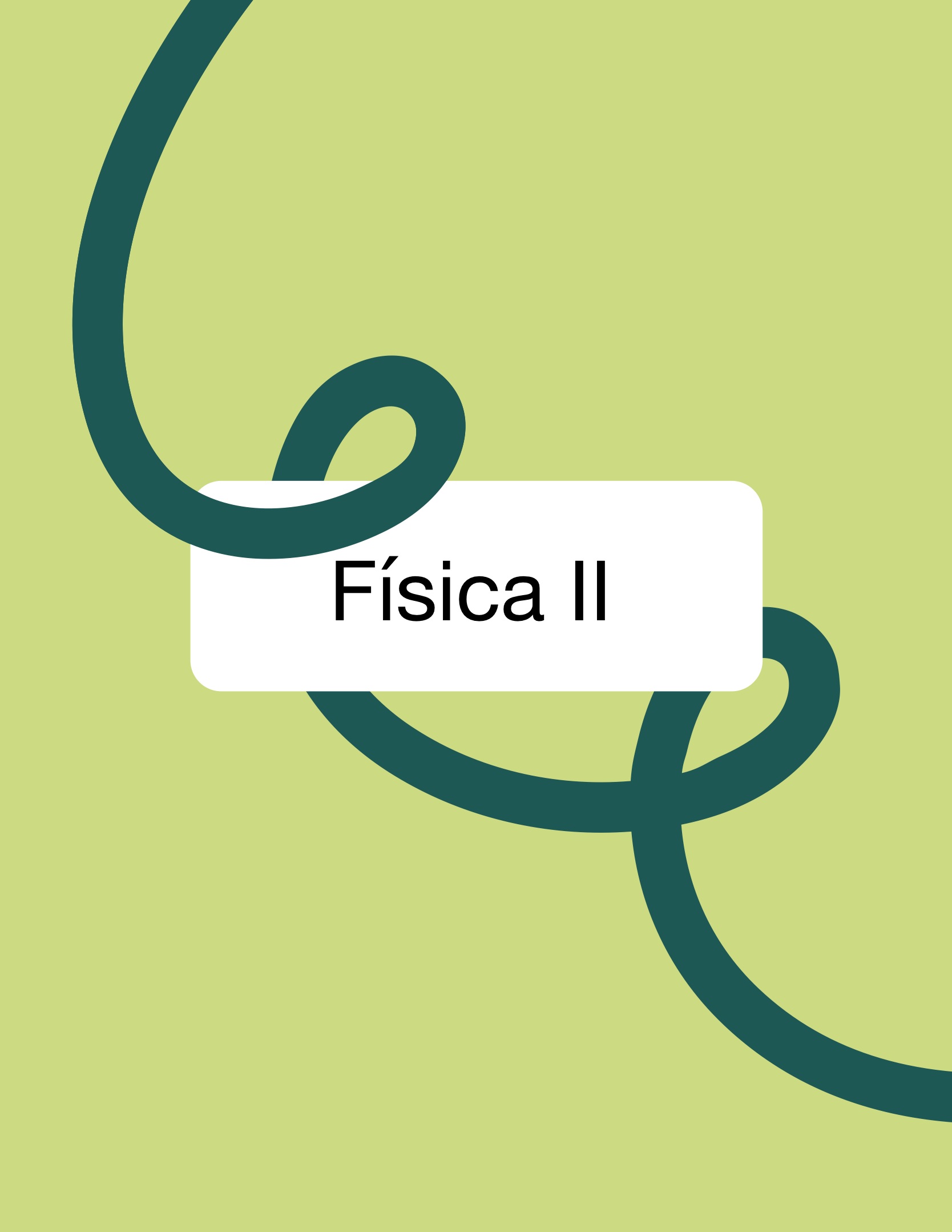 Asignatura Completa- Física II