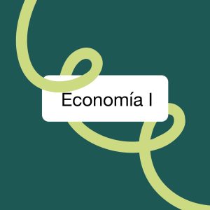 Asignatura Completa- Economía